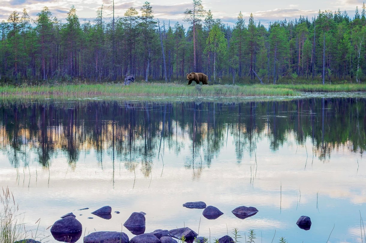 Серое небо — лучший светофильтр