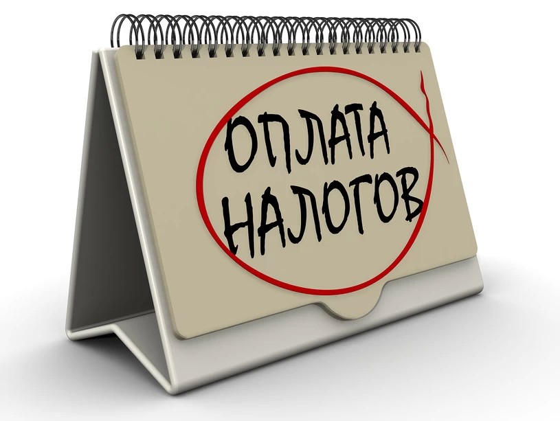 Платим налоги правильно