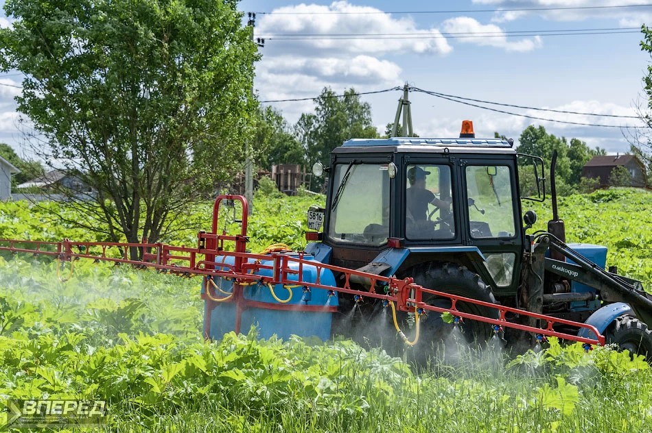 Около 2000 га обработают от борщевика в Сергиево-Посадском округе