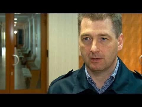 В Сергиево-Посадском районе ветер повалил 6 деревьев