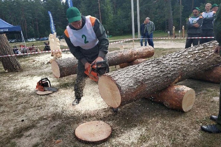 Лесник из Сергиева Посада показал первоклассное владение бензопилой