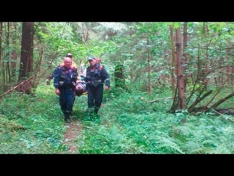 Спасатели вынесли пострадавшую из леса