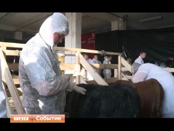 Олимпиада по ветеринарии