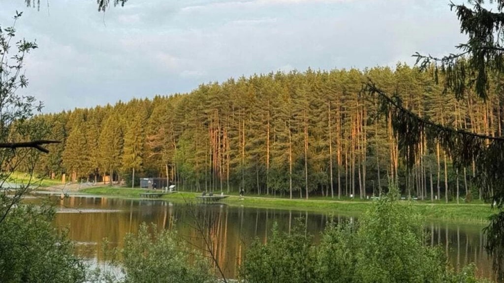 Роспотребнадзор провёл анализ воды озера «Загорское море» и водного объекта «Торбеево озеро»