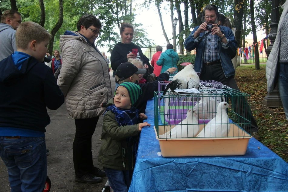 День района — для всех и для каждого