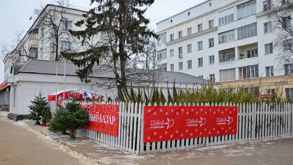 В Сергиевом Посаде начали работу новогодние елочные базары