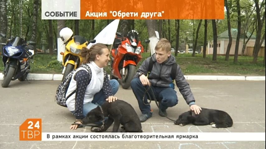 "Обрети друга" - так называется акция волонтерского движения "Потеряшки", которая состоялась в центре города на площади около Дворца им. Ю. Гагарина