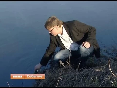 Мексиканский залив местного масштаба