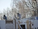 Расселение будет, но немного позже