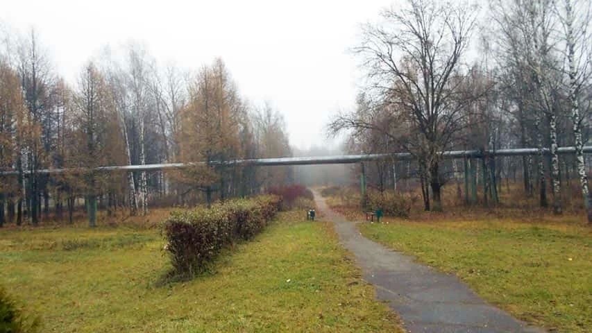 Жители могут предложить функциональное наполнение парка Победы в Краснозаводске