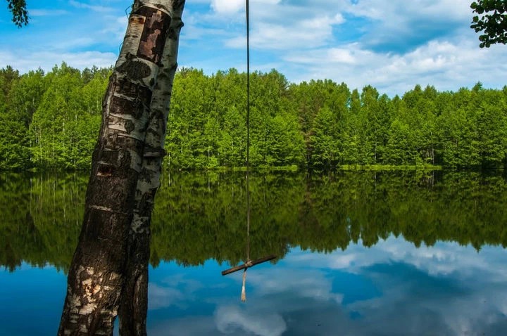 Вблизи Загорского моря создадут парк. Каким он будет решат жители