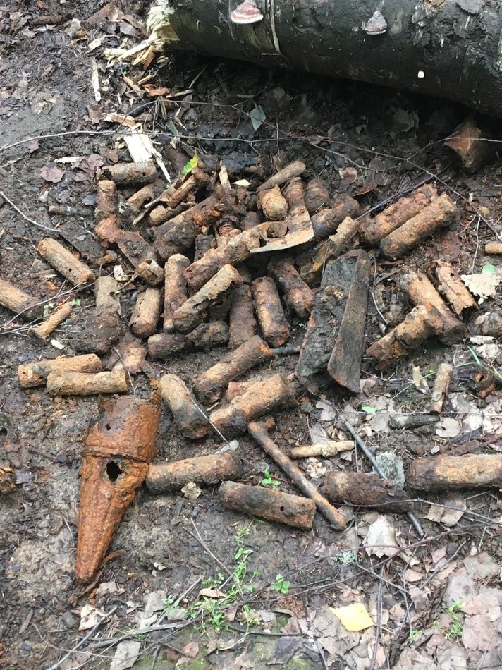 Залежи брошенных боезапасов обнаружили под Краснозаводском