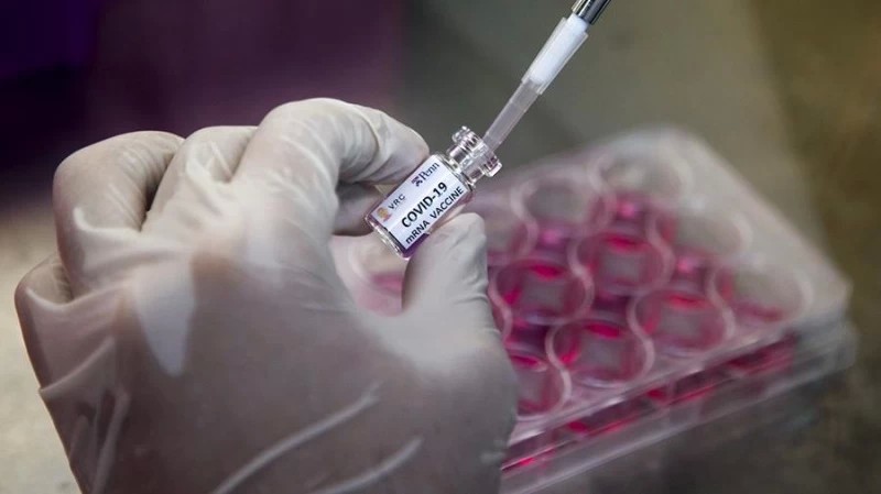 Испытания вакцины от коронавируса пройдут в Сергиевом Посаде