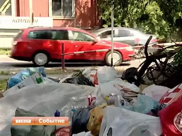 Трава по пояс