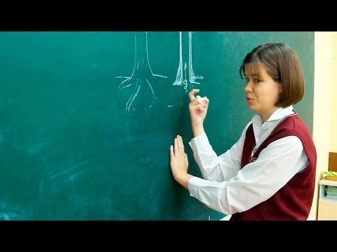 Анна Кудинова придумала как выкачать из земли всю нефть