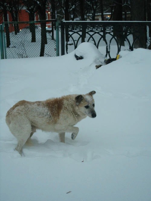 Накрыло
