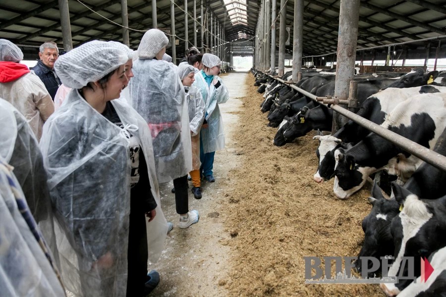 Студентам-аграриям провели экскурсию по ферме в Озерецком