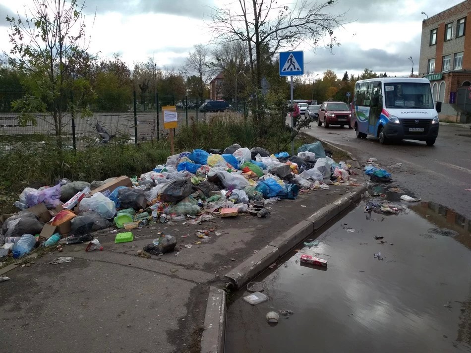 В Сергиево-Посадском г.о. ответственные за содержание контейнерных площадок привлечены к ответственности