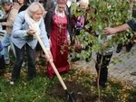 Берёза поэта