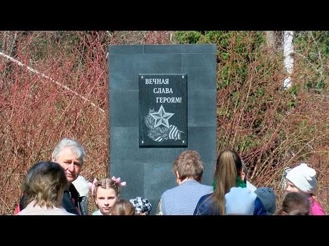 Торжественные митинги прошли в Птицеграде и Лесхозе