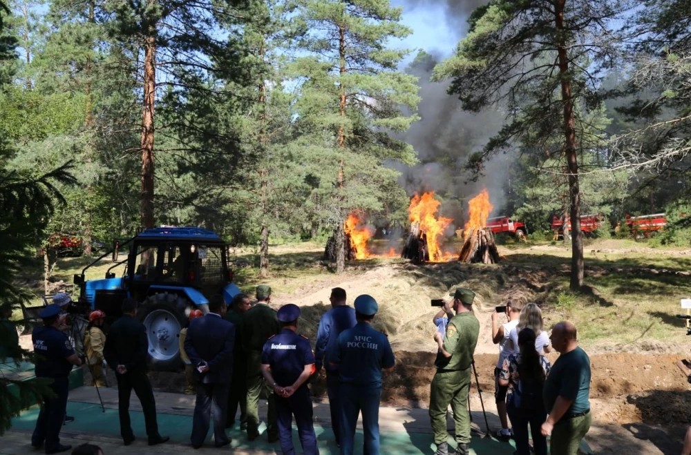 Лучшего лесника и лучшего лесного пожарного выберут в Подмосковье
