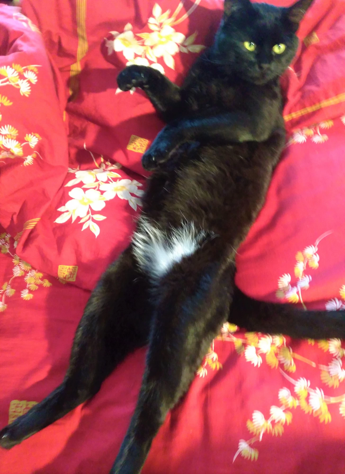content