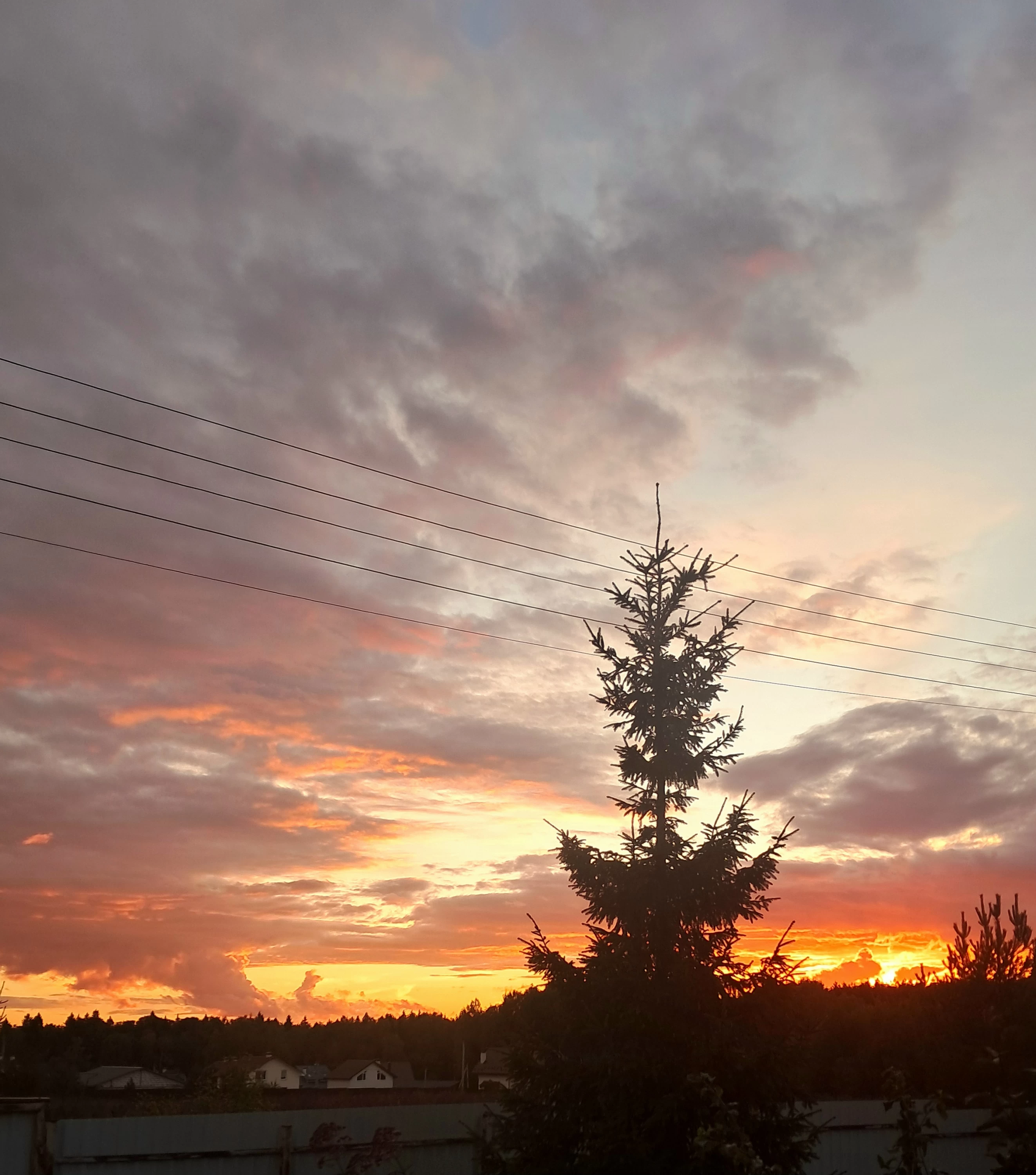 team