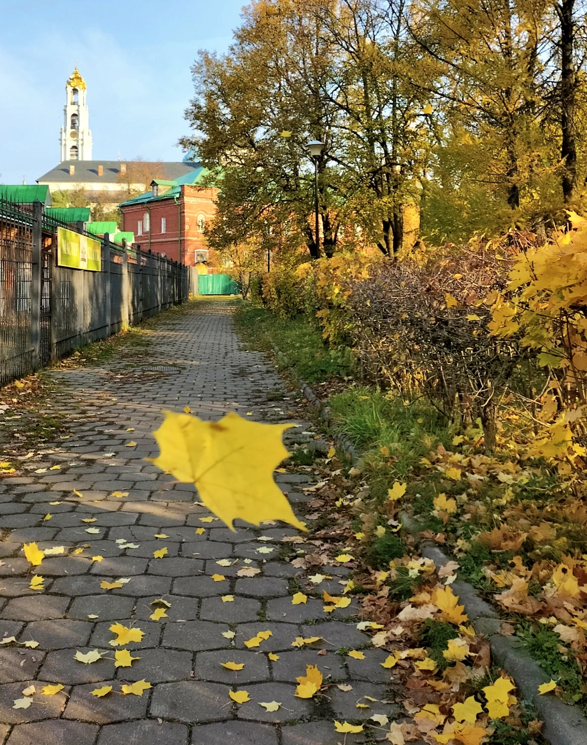 Падают листья